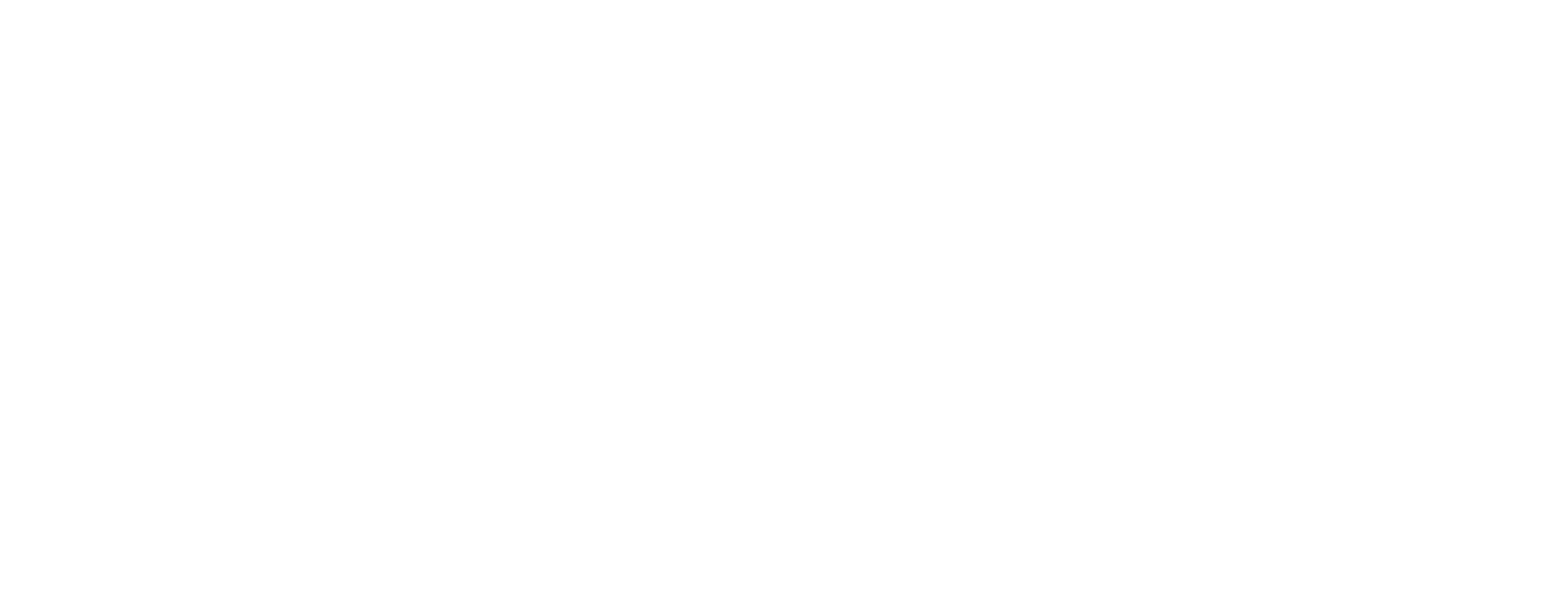 Cindy De Baets logo white